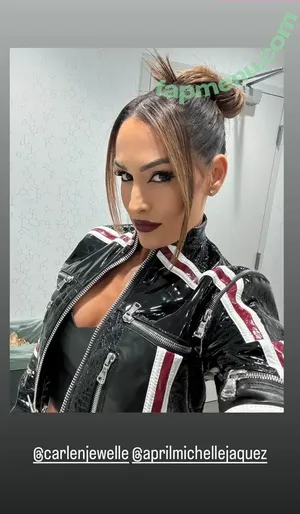 The Bella Twins: / Nikki Bella & Brie Bella / thenikkibella nude photo #1023