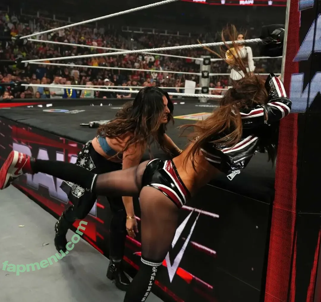 The Bella Twins: nude photo #1002 (Nikki Bella & Brie Bella / thenikkibella)