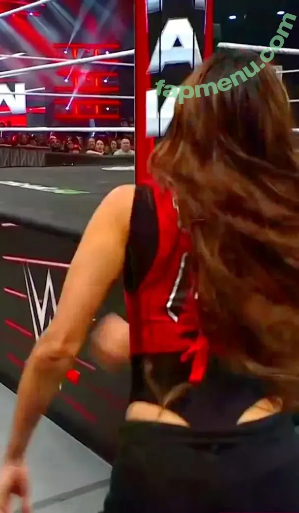 The Bella Twins: nude photo #1010 (Nikki Bella & Brie Bella / thenikkibella)