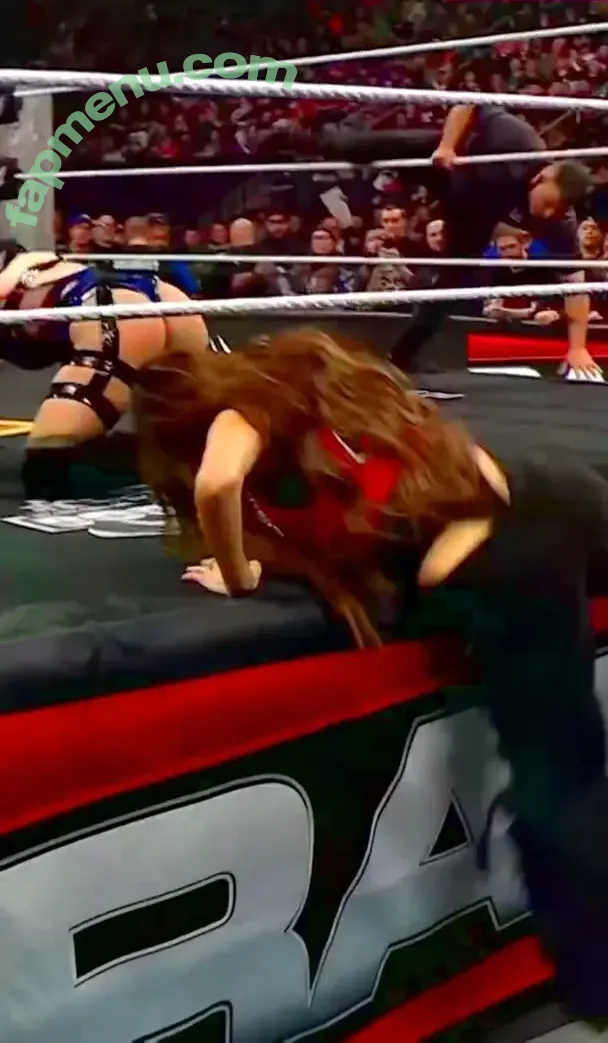 The Bella Twins: nude photo #1017 (Nikki Bella & Brie Bella / thenikkibella)