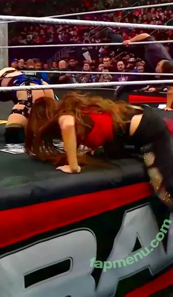 The Bella Twins: nude photo #1018 (Nikki Bella & Brie Bella / thenikkibella)