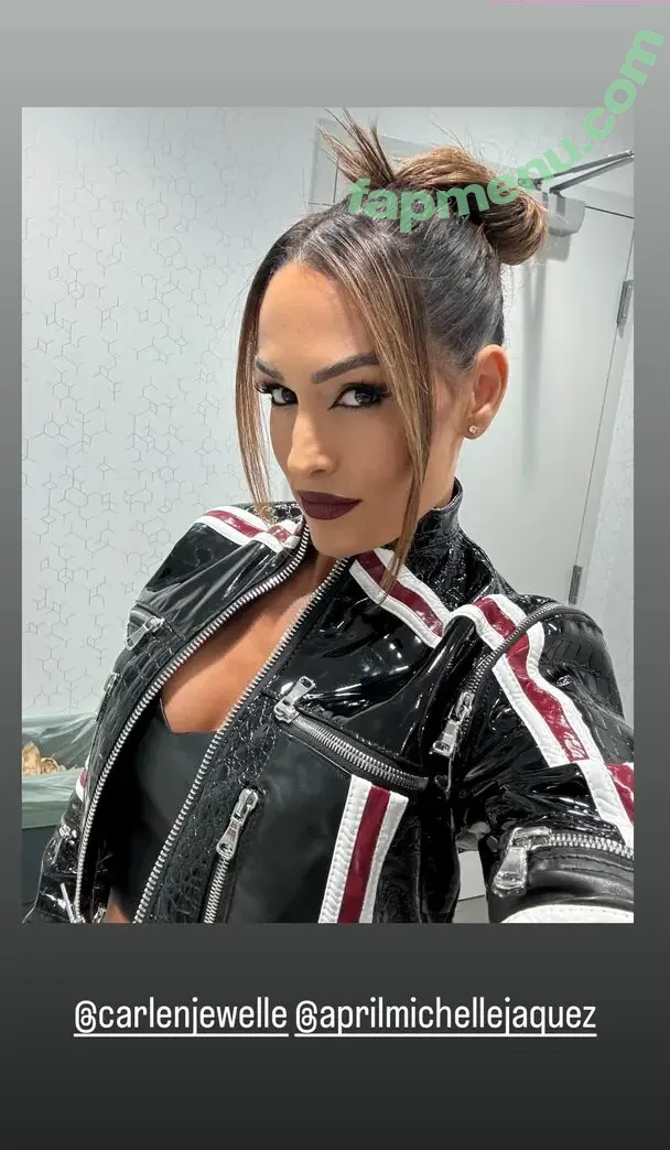 The Bella Twins: nude photo #1023 (Nikki Bella & Brie Bella / thenikkibella)