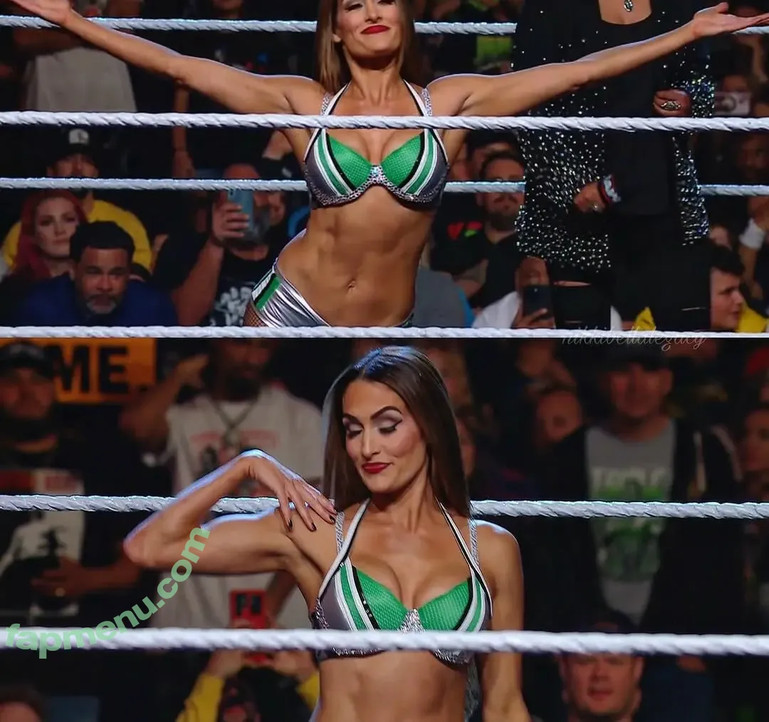 The Bella Twins: nude photo #1029 (Nikki Bella & Brie Bella / thenikkibella)