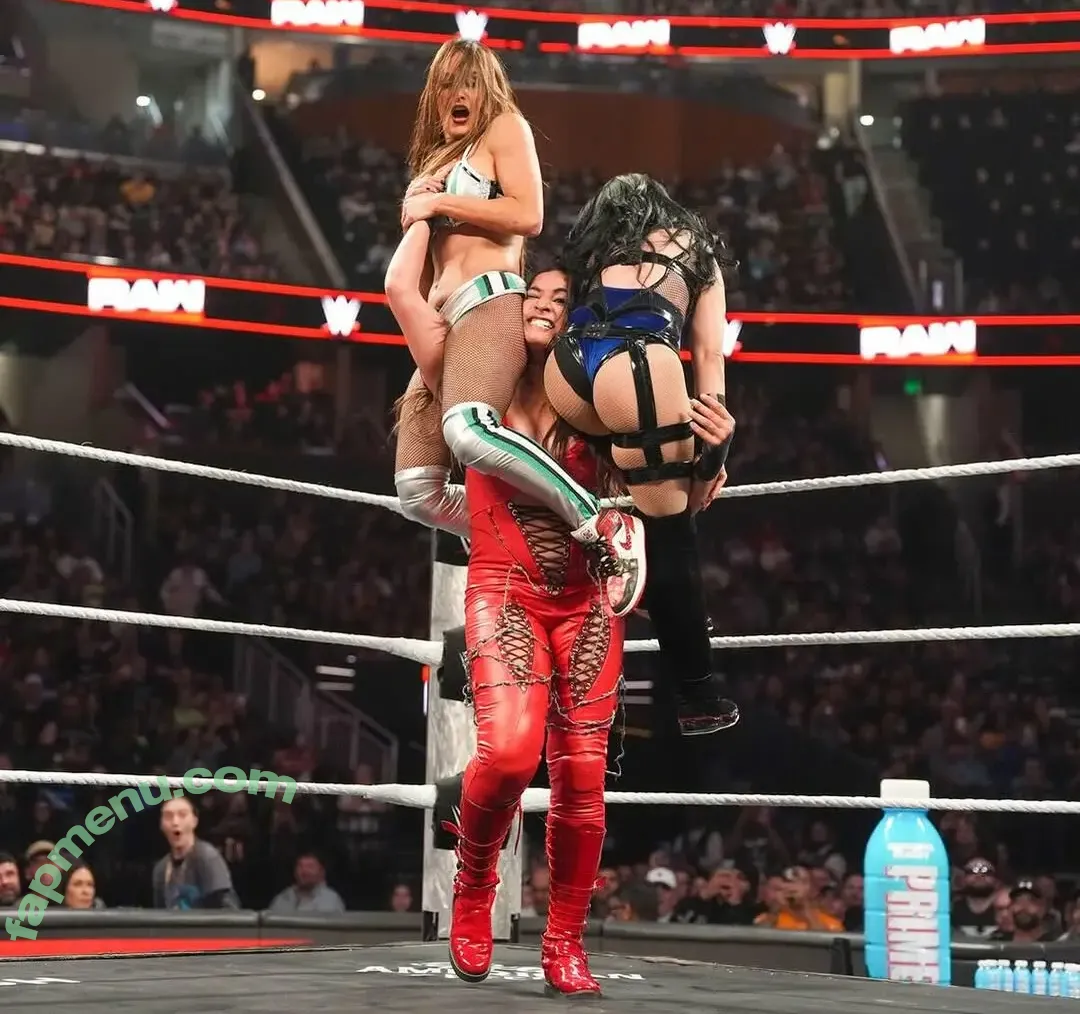 The Bella Twins: nude photo #1035 (Nikki Bella & Brie Bella / thenikkibella)