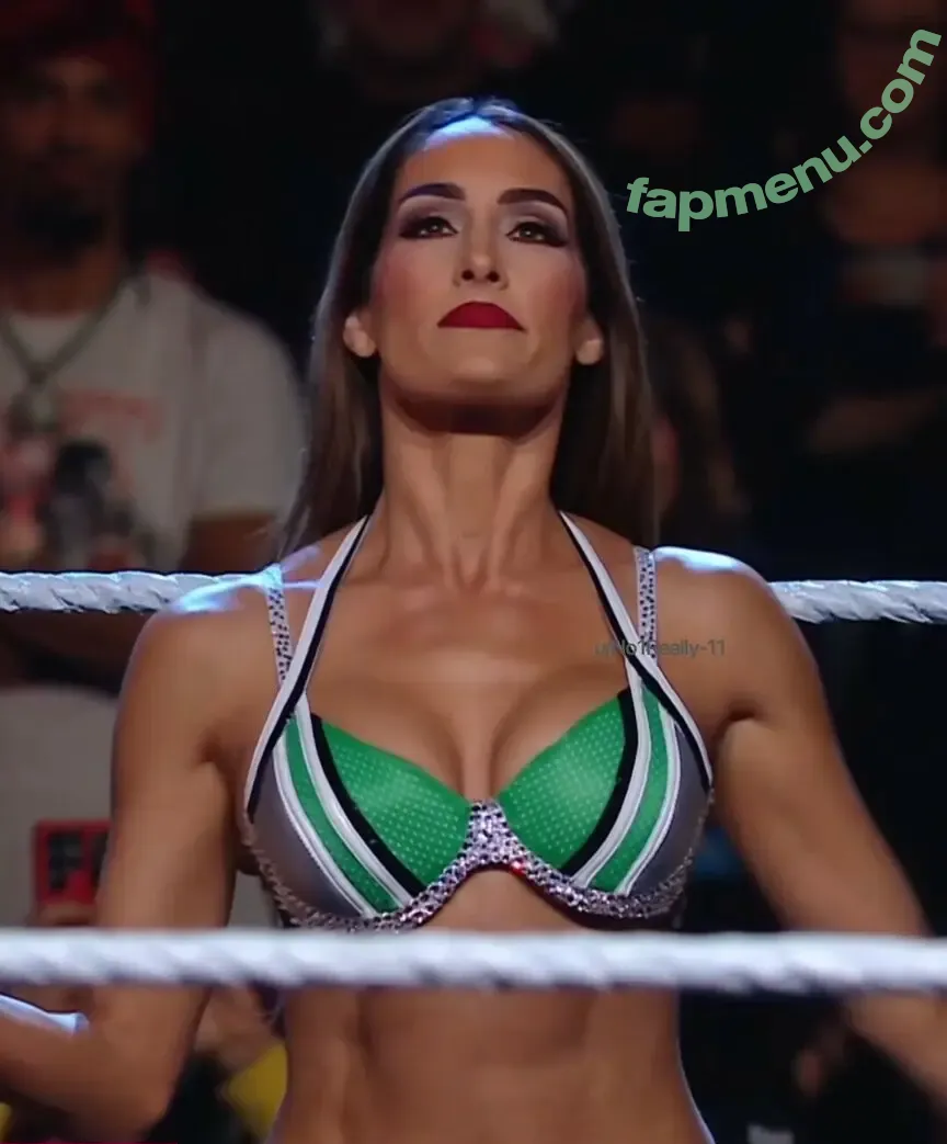 The Bella Twins: nude photo #1043 (Nikki Bella & Brie Bella / thenikkibella)