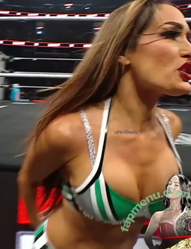 The Bella Twins: nude photo #1049 (Nikki Bella & Brie Bella / thenikkibella)