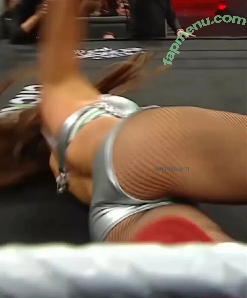 The Bella Twins: nude photo #1055 (Nikki Bella & Brie Bella / thenikkibella)