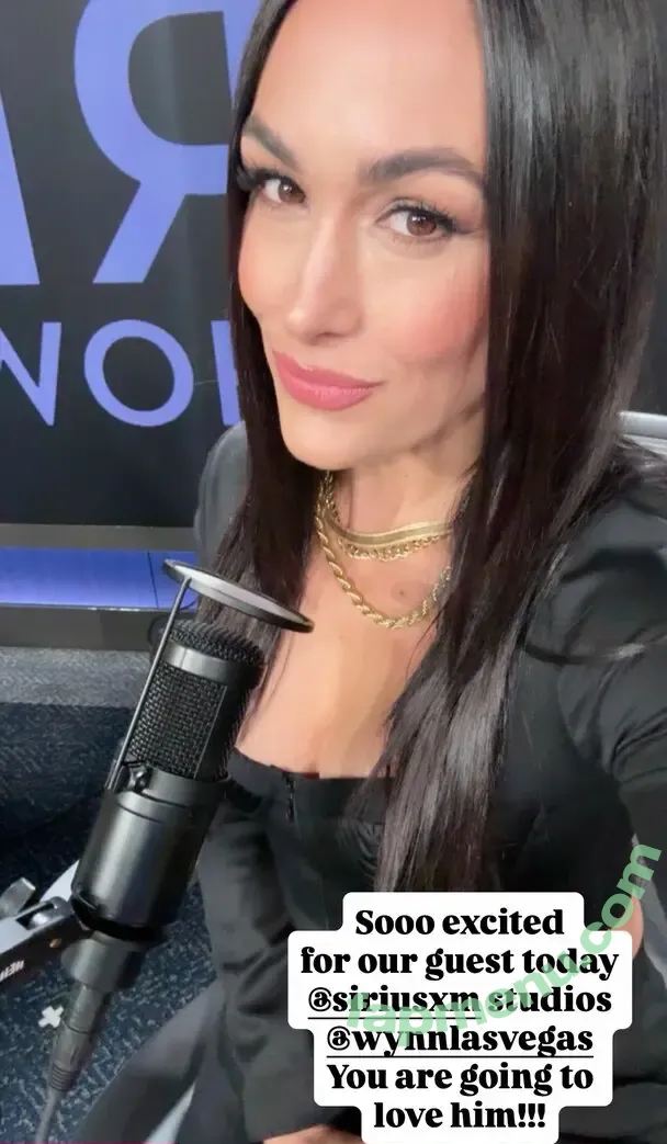 The Bella Twins: nude photo #1059 (Nikki Bella & Brie Bella / thenikkibella)