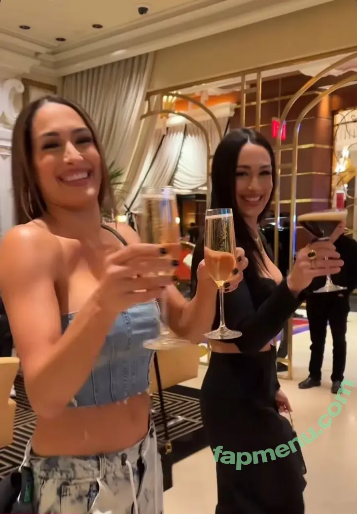 The Bella Twins: nude photo #1060 (Nikki Bella & Brie Bella / thenikkibella)