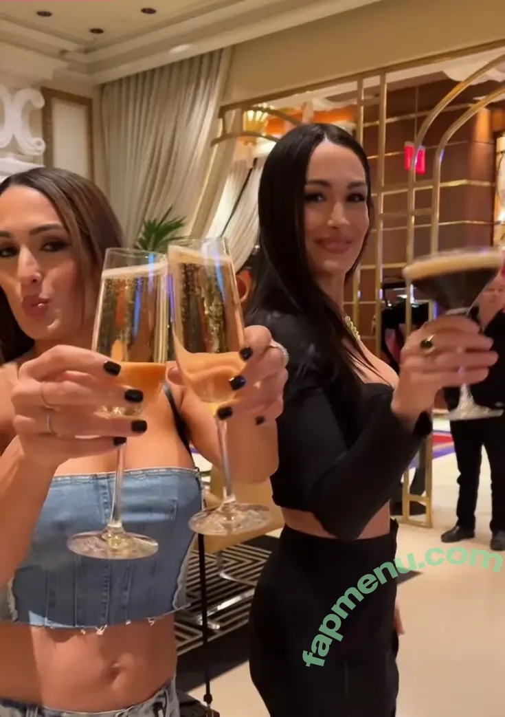 The Bella Twins: nude photo #1061 (Nikki Bella & Brie Bella / thenikkibella)