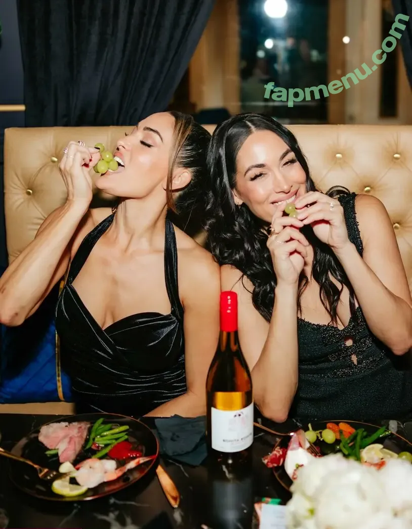 The Bella Twins: nude photo #1077 (Nikki Bella & Brie Bella / thenikkibella)