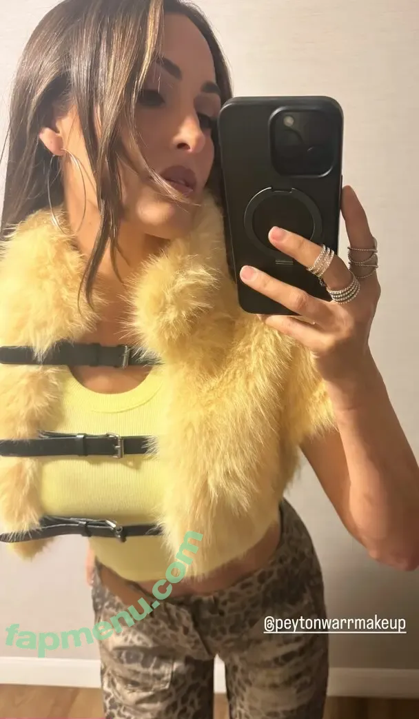 The Bella Twins: nude photo #1093 (Nikki Bella & Brie Bella / thenikkibella)