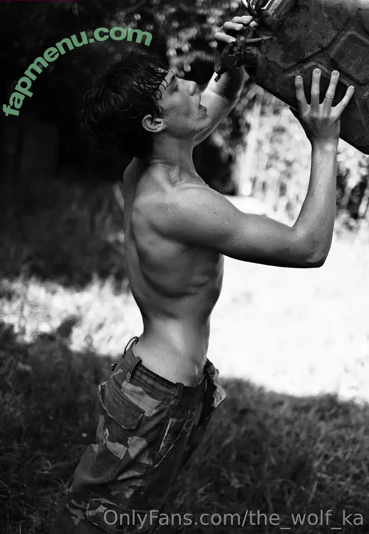 the_wolf_ka nude photo #0012 (the_wolf_)