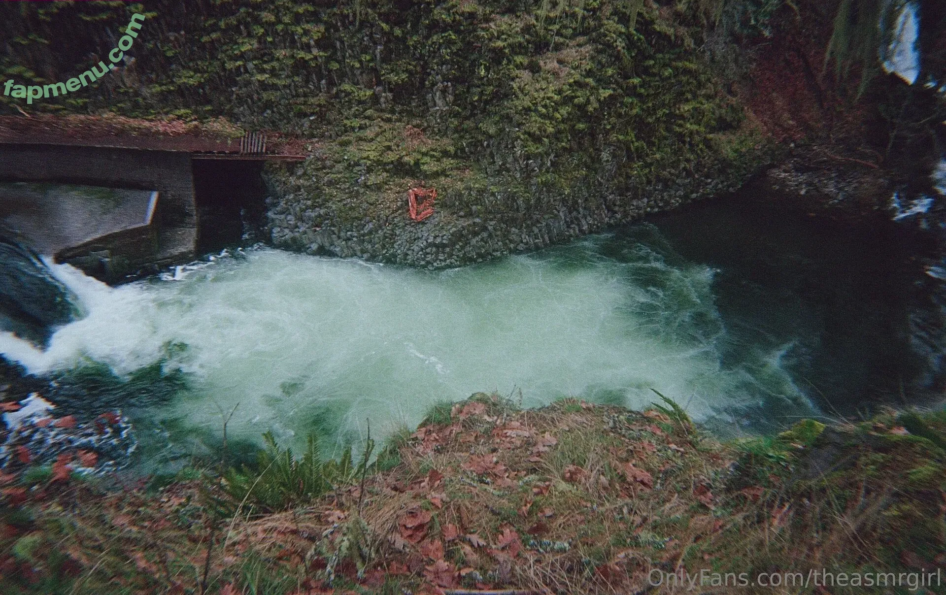 theasmrgirl nude photo #0017 (theasmrgirl)