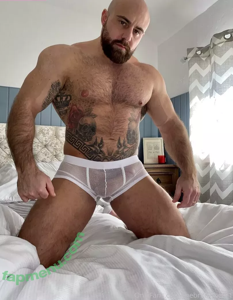 thebritishbear1 nude photo #0012 (thebritishbear1)