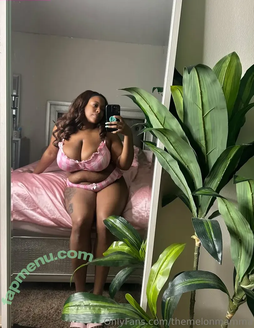 themelonmamma nude photo #0050 (melon.momma.designs)