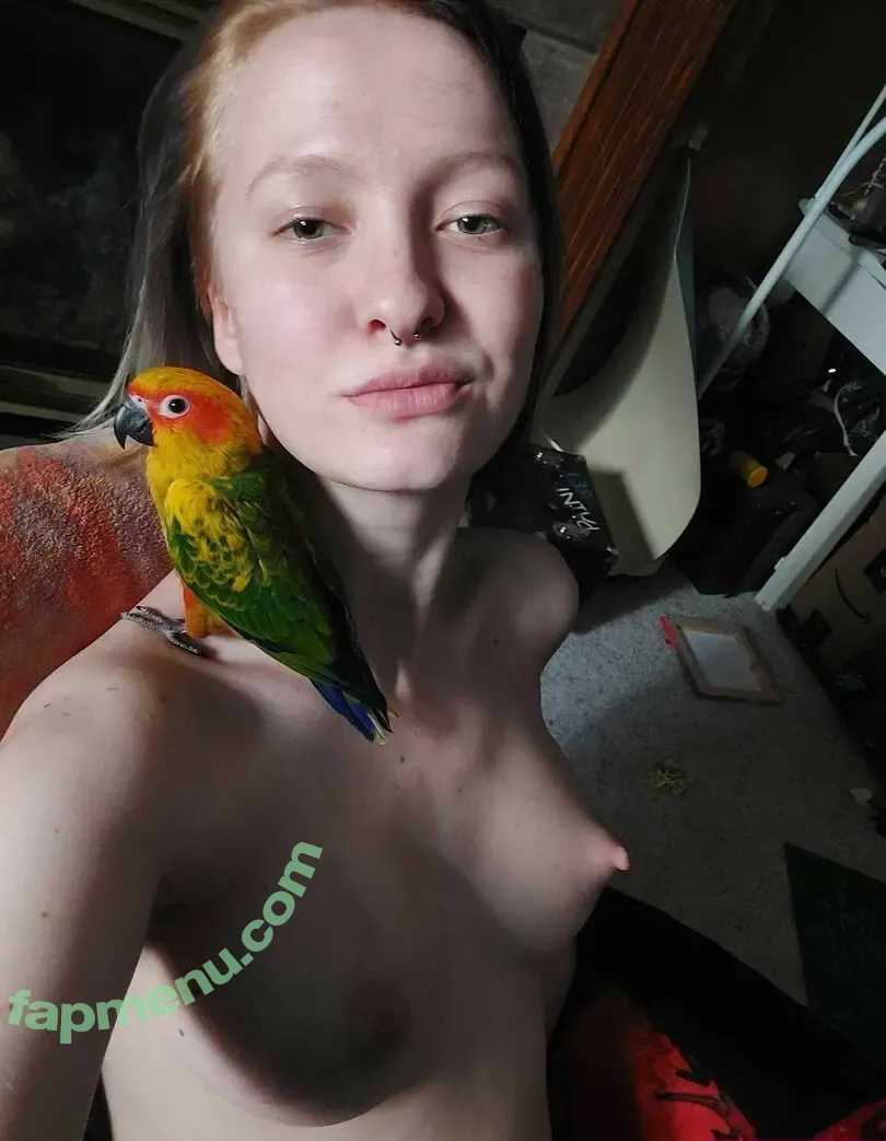 TheNerdandherBird nude photo #0015 (the_berd_nird)