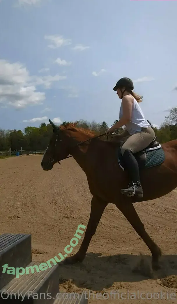 theofficialcookie nude photo #0030 (the.officialcookie)