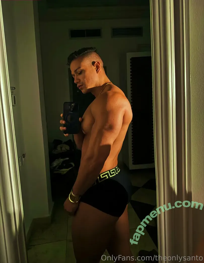 theonlysanto nude photo #0010 (theonlysanto)