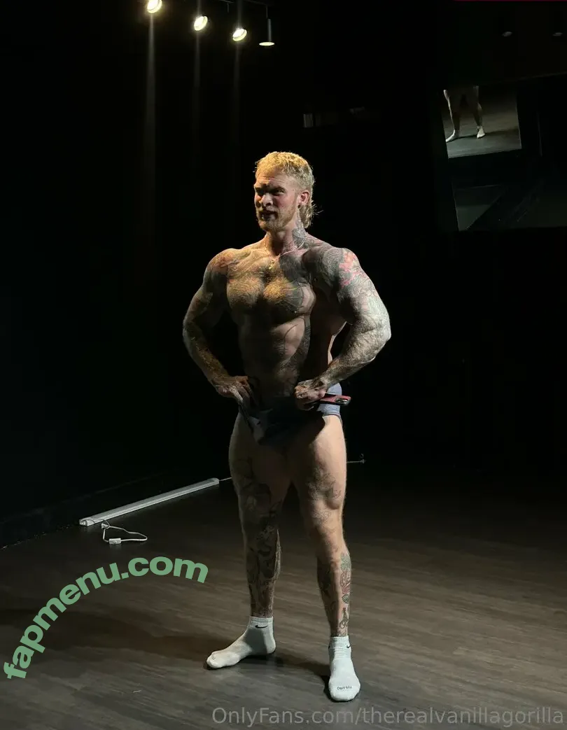 therealvanillagorilla nude photo #0028 (therealvanillagorillatattoos)