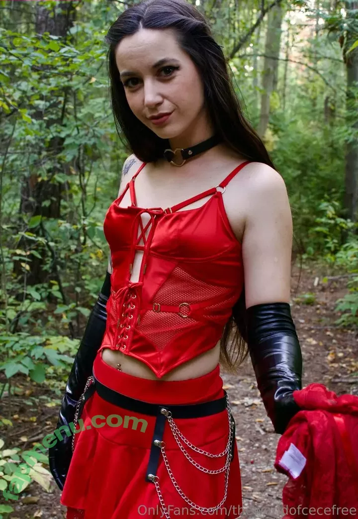 theworldofcecefree nude photo #0103 (the_world_of_cece)