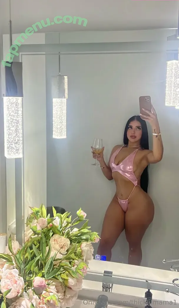Thicklilmama1 nude photo #0017 (thick.lil.mama)