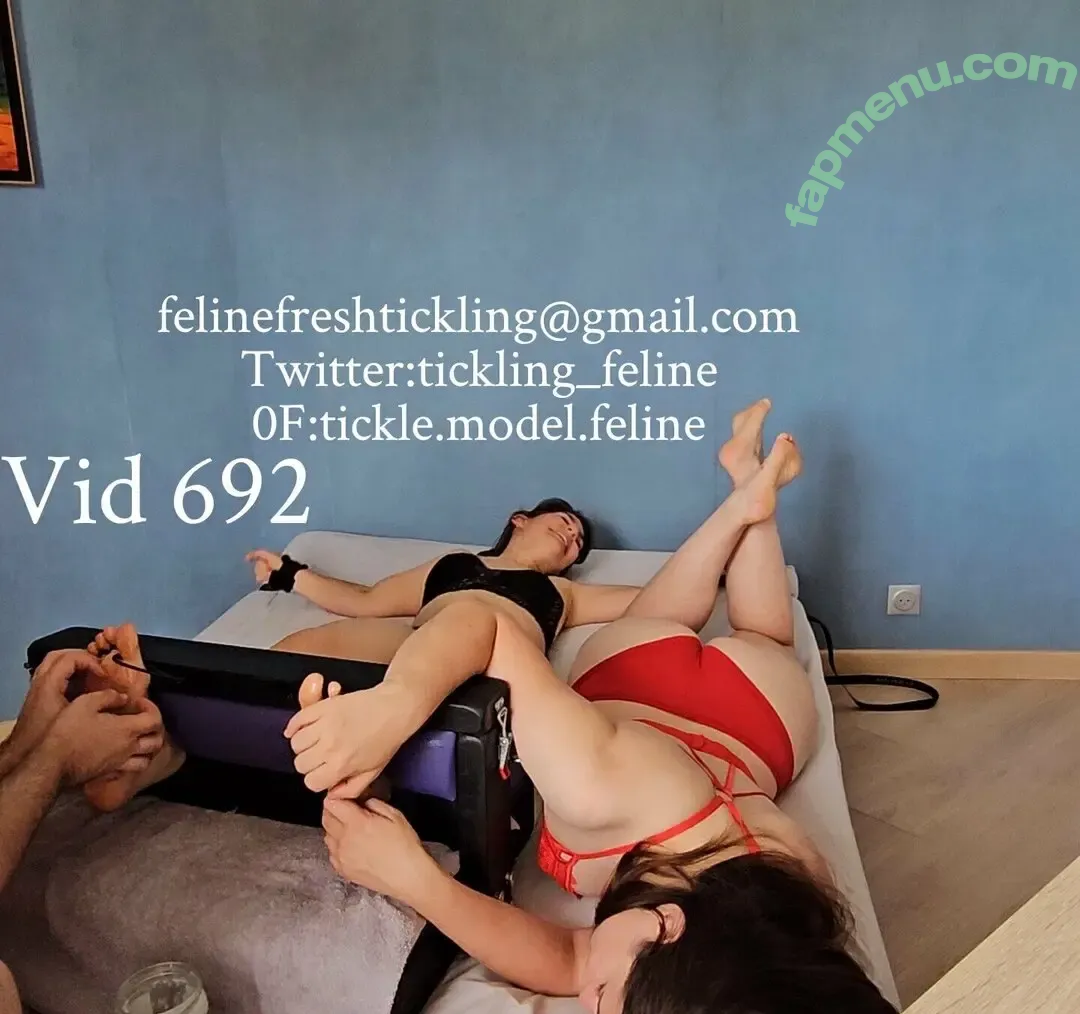 tickle.model.feline nude photo #0020 (tickle.model.feline)