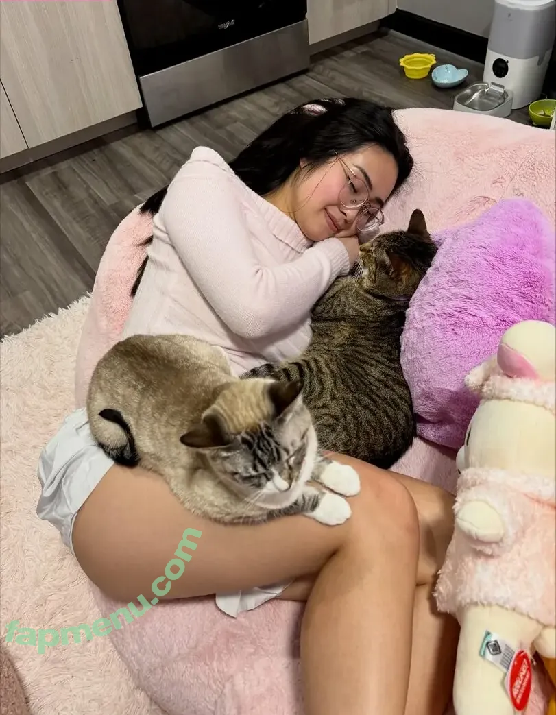 _tiffles nude photo #0275 (anyuser / tiffanynhoe / tiktok / twitch)