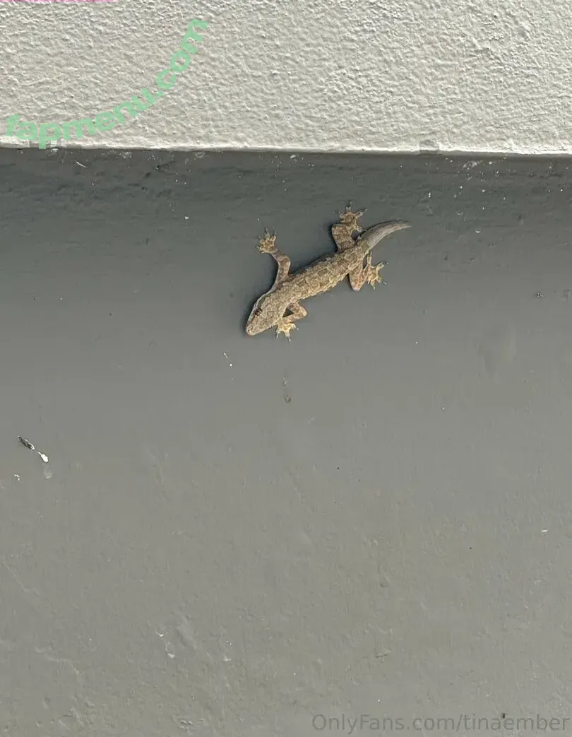 tinaember nude photo #0123 (tina_ember2)