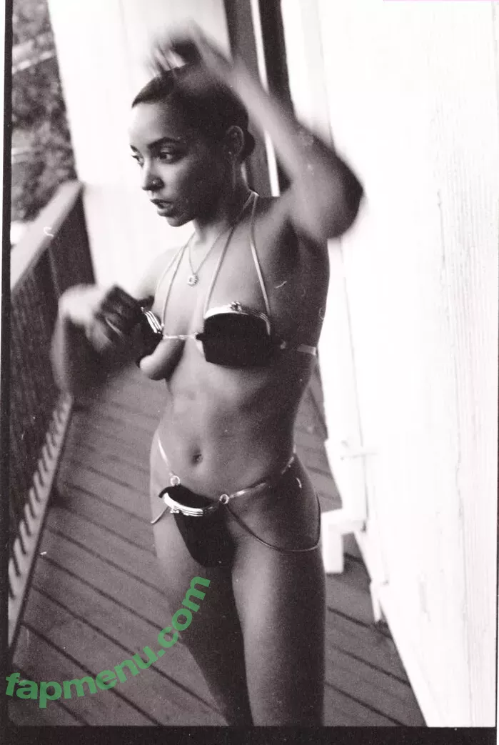 Tinashe nude photo #0741 (slimred_20 / tinashenow)