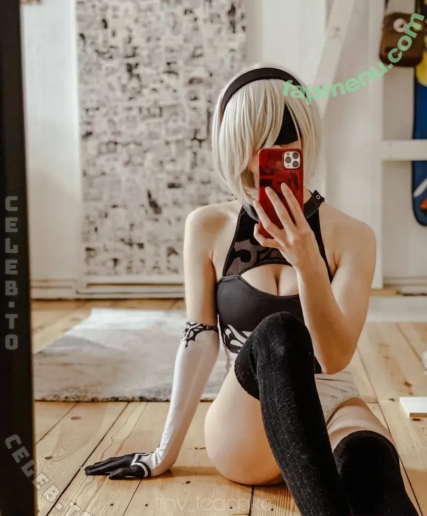 tiny_teacake nude photo #0019 (teacakecos)