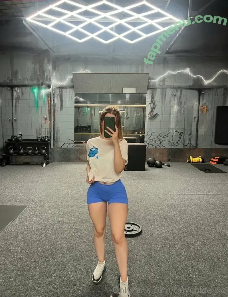 tinychloe_xo nude photo #0045 (tinychloe.xo)