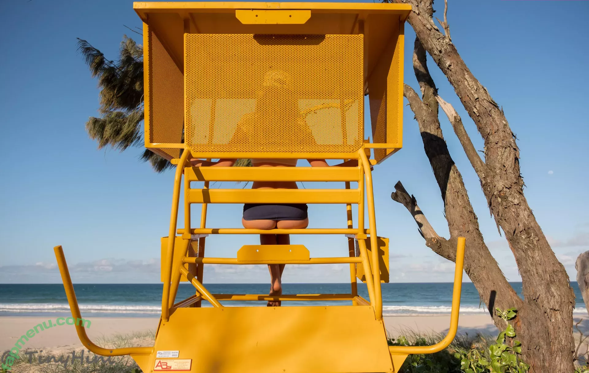 Tinyhini nude photo #1221 (Sam / tinyhiniofficial)