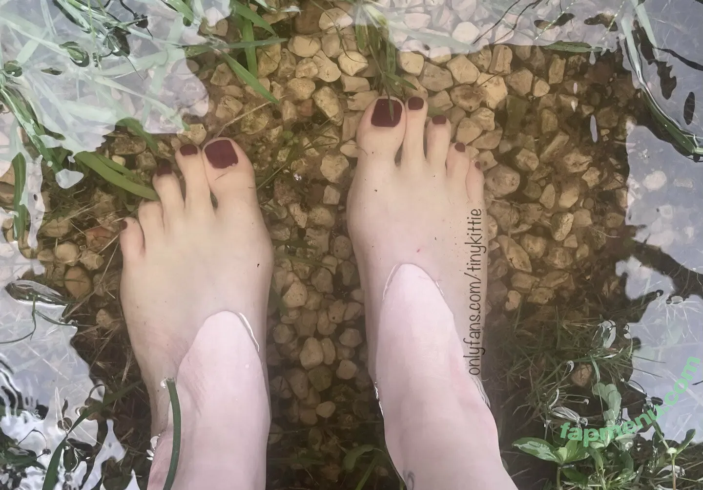 tinykittie nude photo #0591 (tinykitty15)