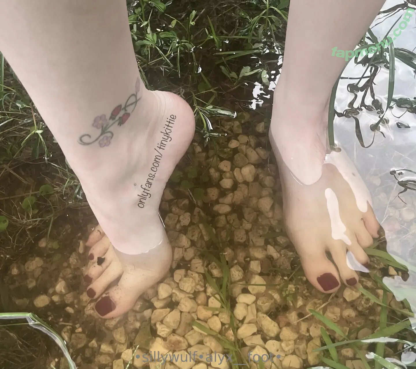 tinykittie nude photo #0601 (tinykitty15)