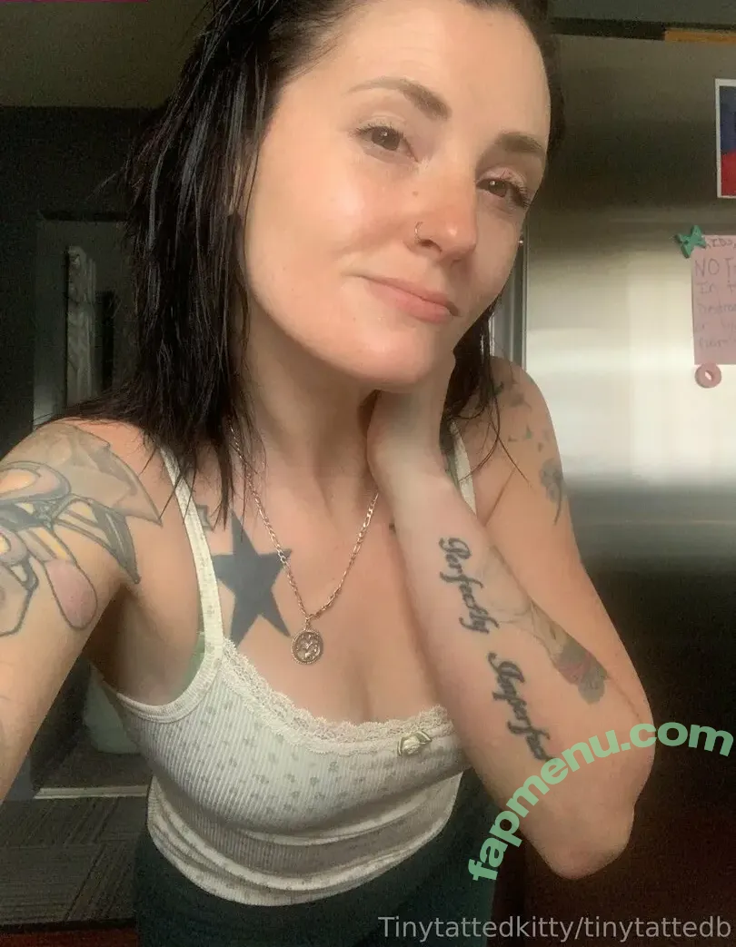 tinytattedkitty nude photo #0003 (tinylittlekitty)