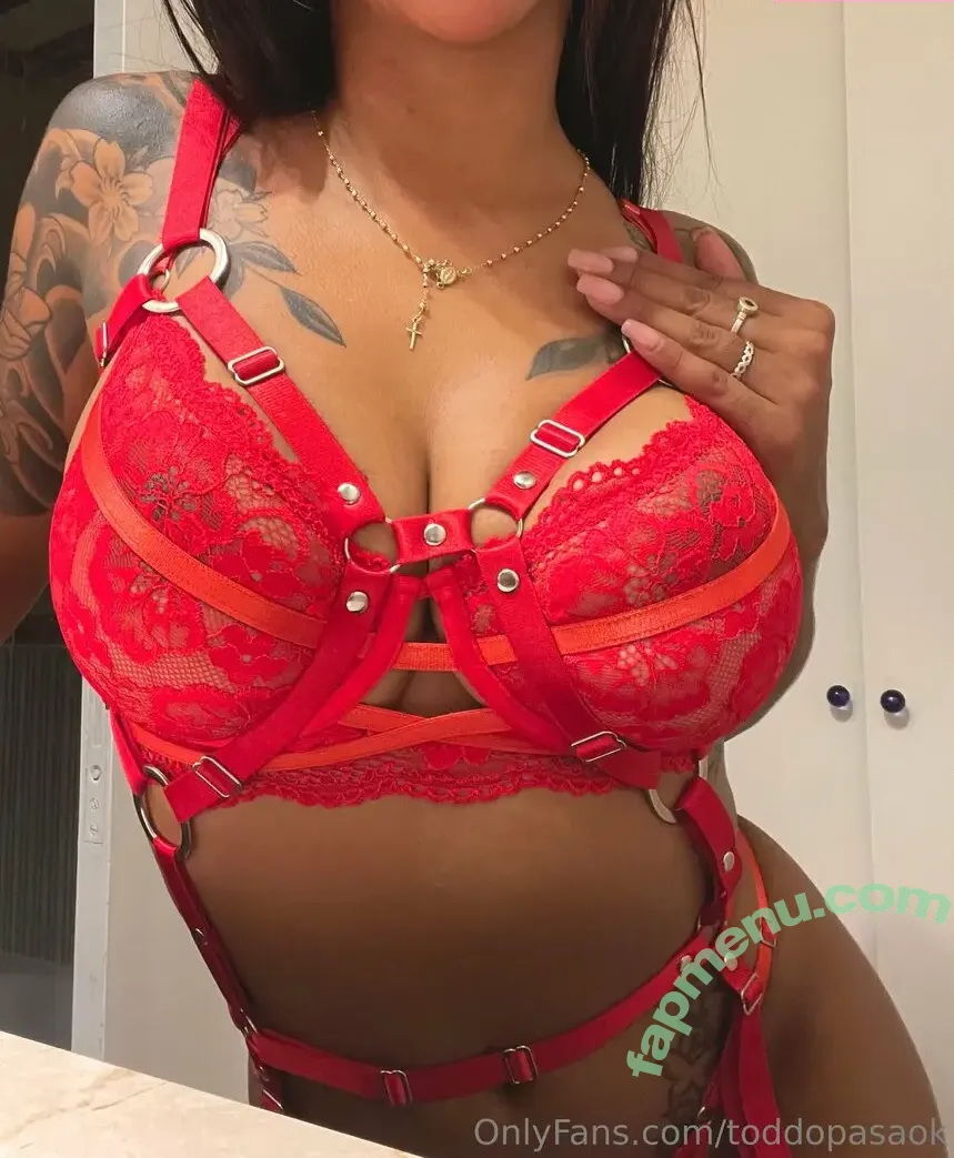 toddopasaok nude photo #0007 (selene_aguilera.ok)