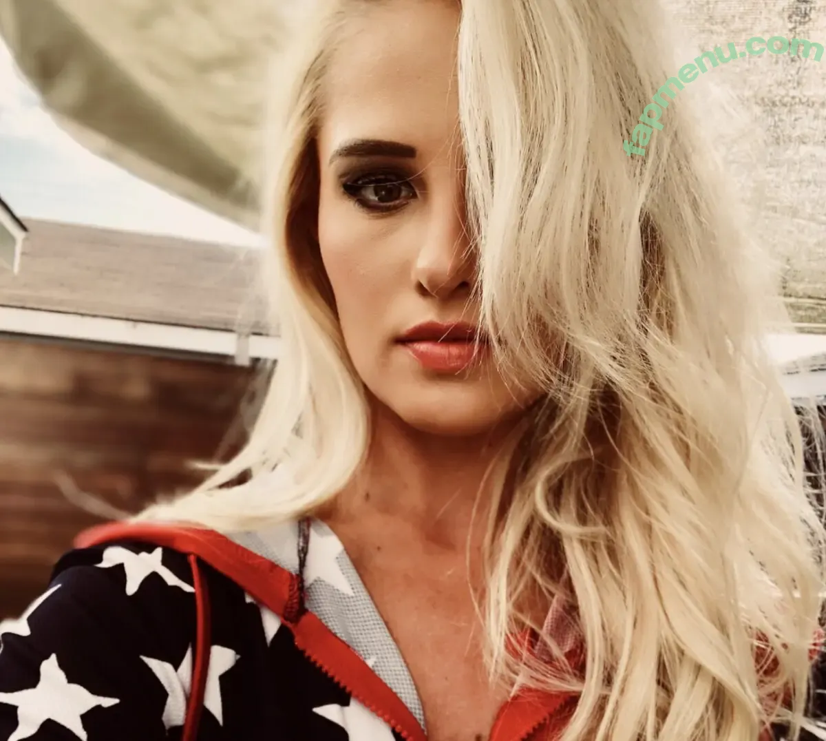 Tomi Lahren nude photo #0192 (tomilahren)