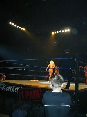 Torrie Wilson / Torrie11 / torriewilson nude photo #2235