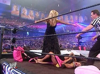 Torrie Wilson / Torrie11 / torriewilson nude photo #2263