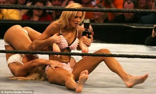Torrie Wilson / Torrie11 / torriewilson nude photo #2276
