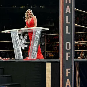 Torrie Wilson / Torrie11 / torriewilson nude photo #2290