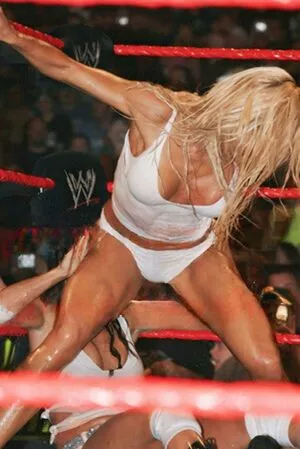 Torrie Wilson / misswilson66686 / torriewilson nude photo #2568