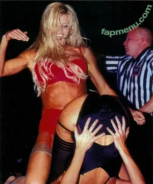 Torrie Wilson / torriewilson nude photo #2809