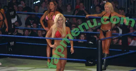 Torrie Wilson nude photo #2225 (Torrie11 / torriewilson)