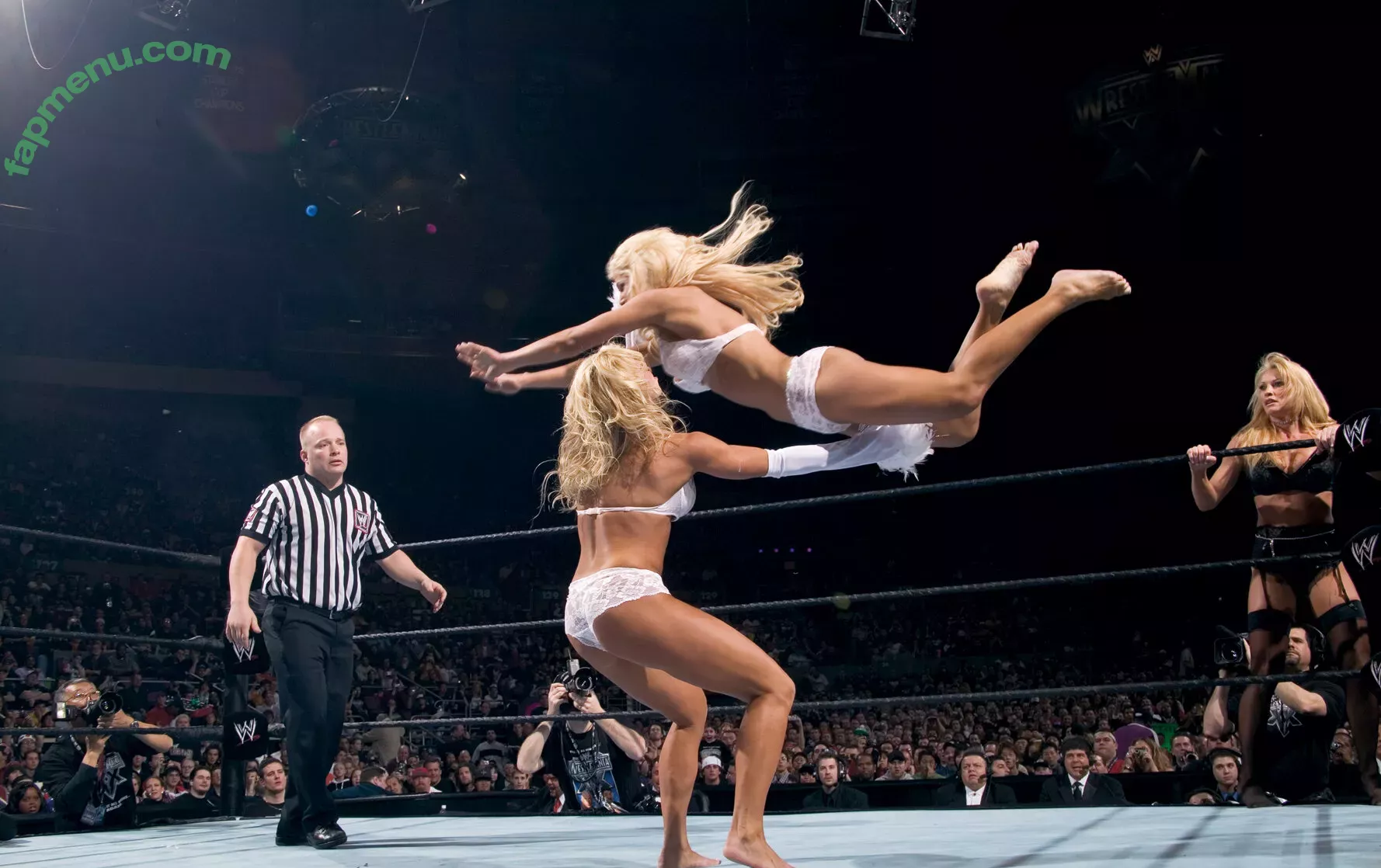 Torrie Wilson nude photo #2278 (Torrie11 / torriewilson)