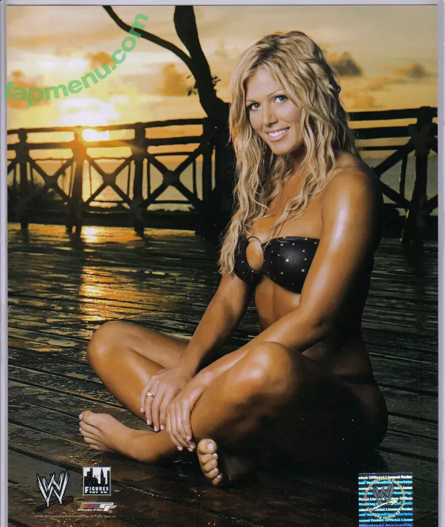 Torrie Wilson nude photo #2409 (Torrie11 / torriewilson)