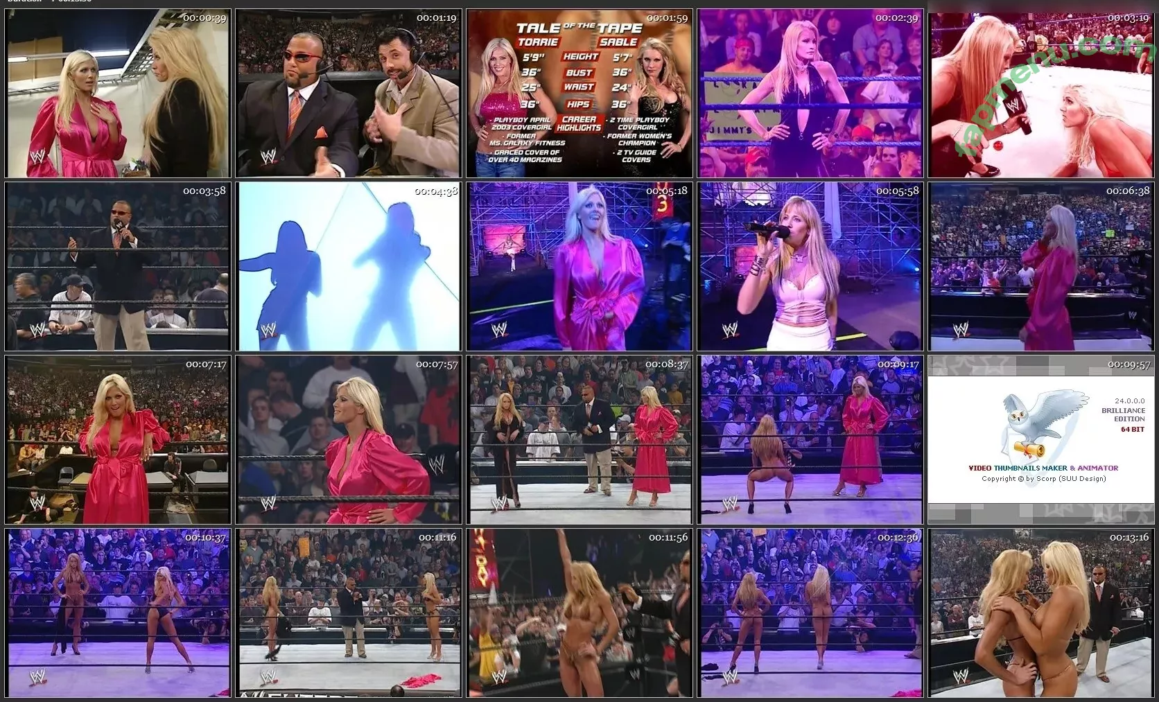 Torrie Wilson nude photo #2471 (Torrie11 / torriewilson)