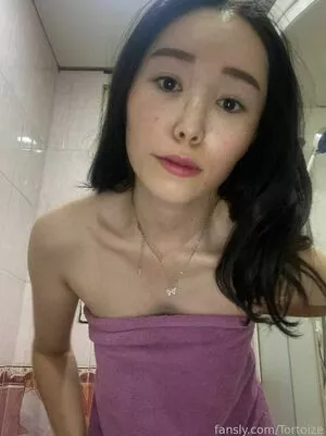 Tortoize / smoltortoise / tortoise nude photo #0005