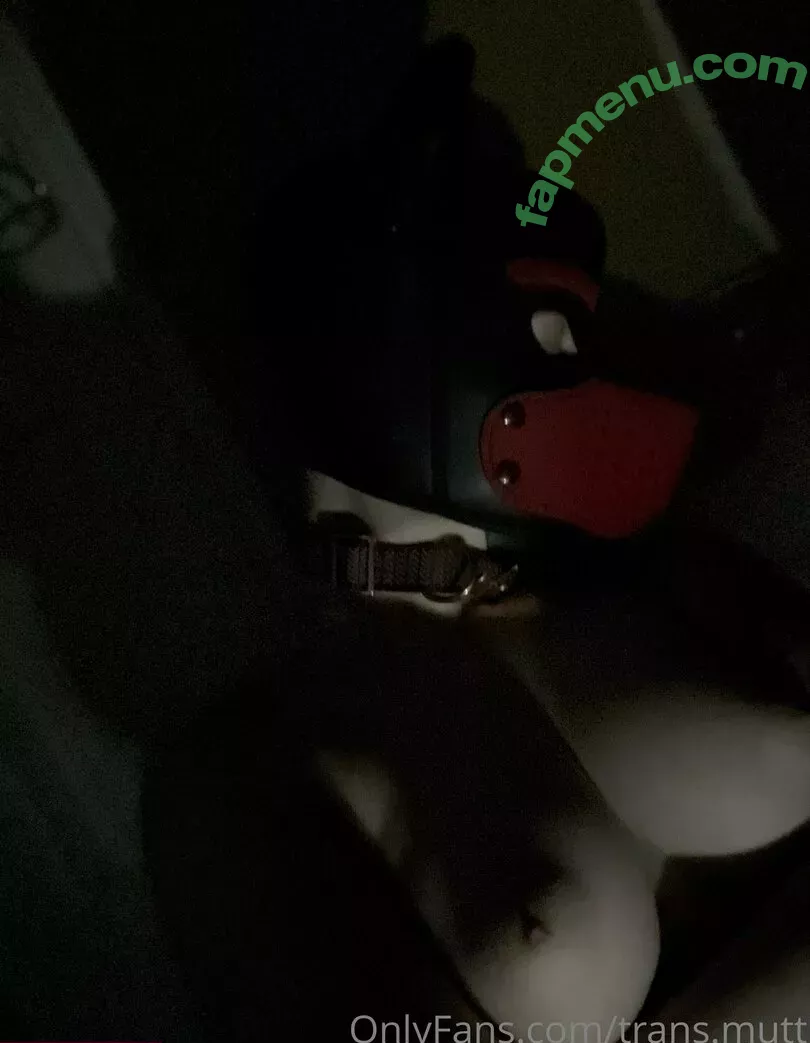 trans.mutt nude photo #0008 (shark.mutt)